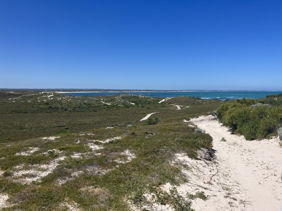 COASTAL RECREATION TRACKS MASTER PLAN FOR THE SHIRES OF COOROW,