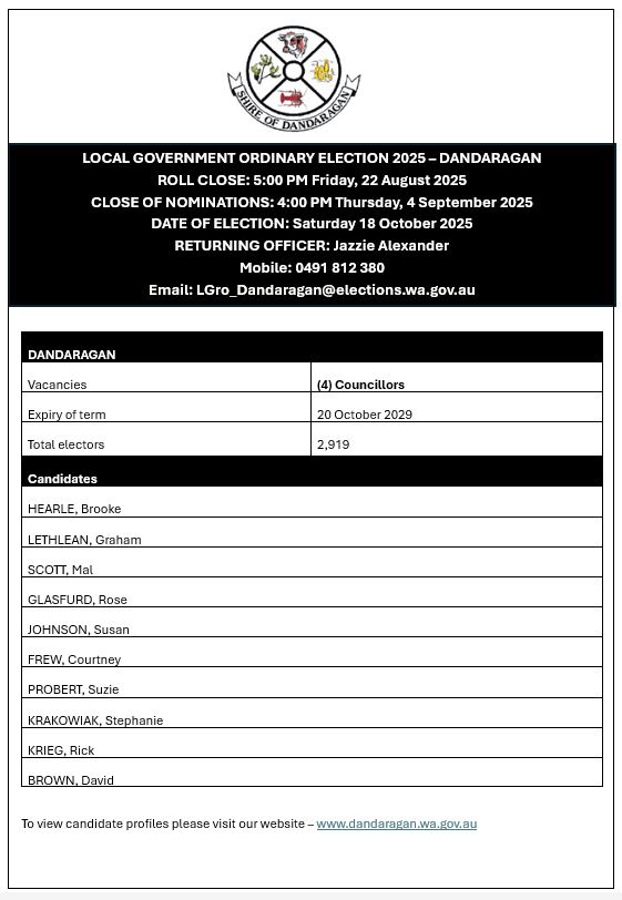 Local Government Ordinary Election 2025