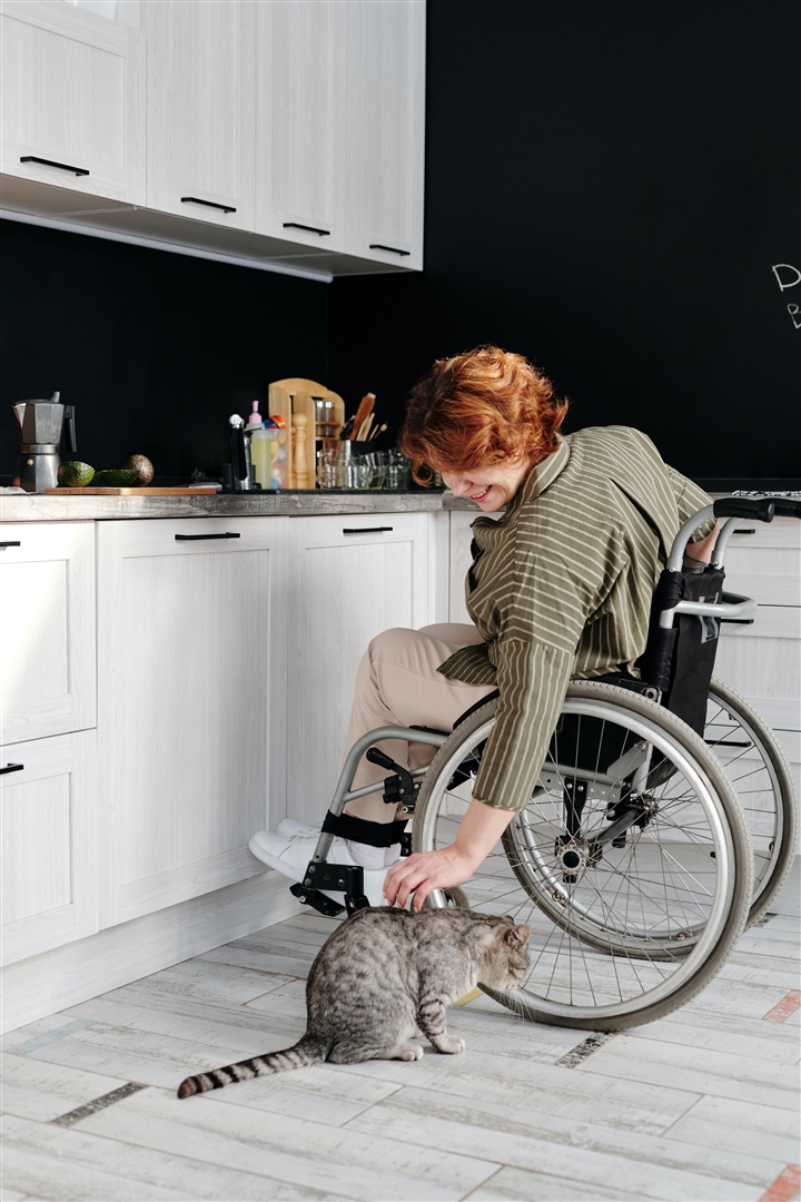 Disability Access and Inclusion Plan (DAIP) Review 2025