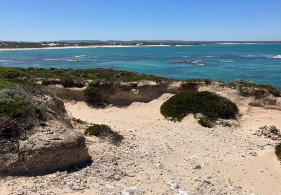 MEDIA RELEASE | Protecting Our Coastline for Future Generations: Coastal